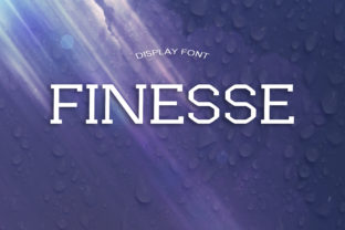 Finesse: A Display Font with Editorial Elegance