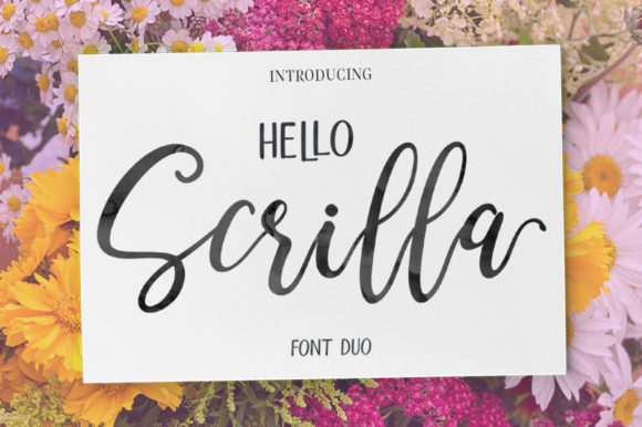 Hello Scrilla Script Font: Elegant Typography for Campaigns