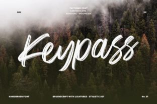 Keypass: A Bold Brush Font for Creative Projects