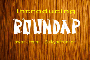 Roundap: A Bold Display Font for Impactful Campaigns
