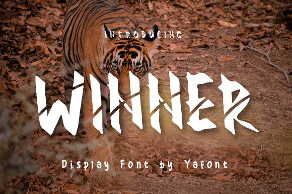 Winner: A Bold Display Font for Web Design